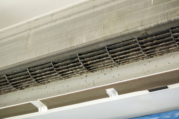 Best Dryer Vent Cleaning Services  in Sawmills, NC