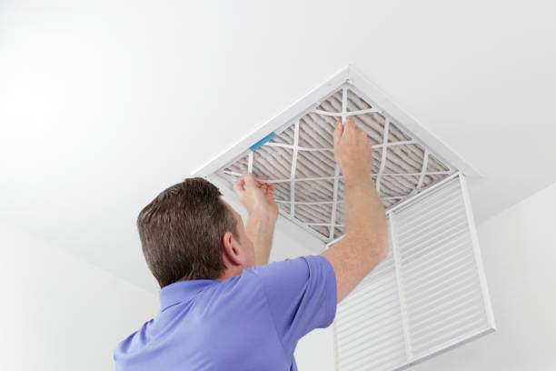 Best Air Duct Mold Removal  in Sawmills, NC